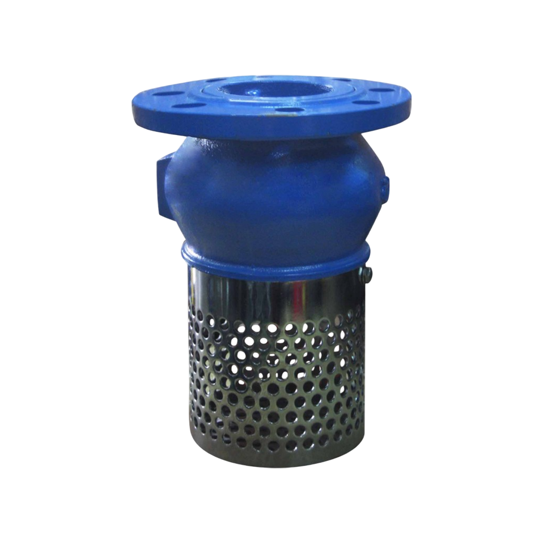 JK สปริงฟุตวาล์วเหล็กหล่อ Spring Foot Valve Cast Iron รุ่น FV-CJ 2" รหัส JK-SPFVCI-H-200