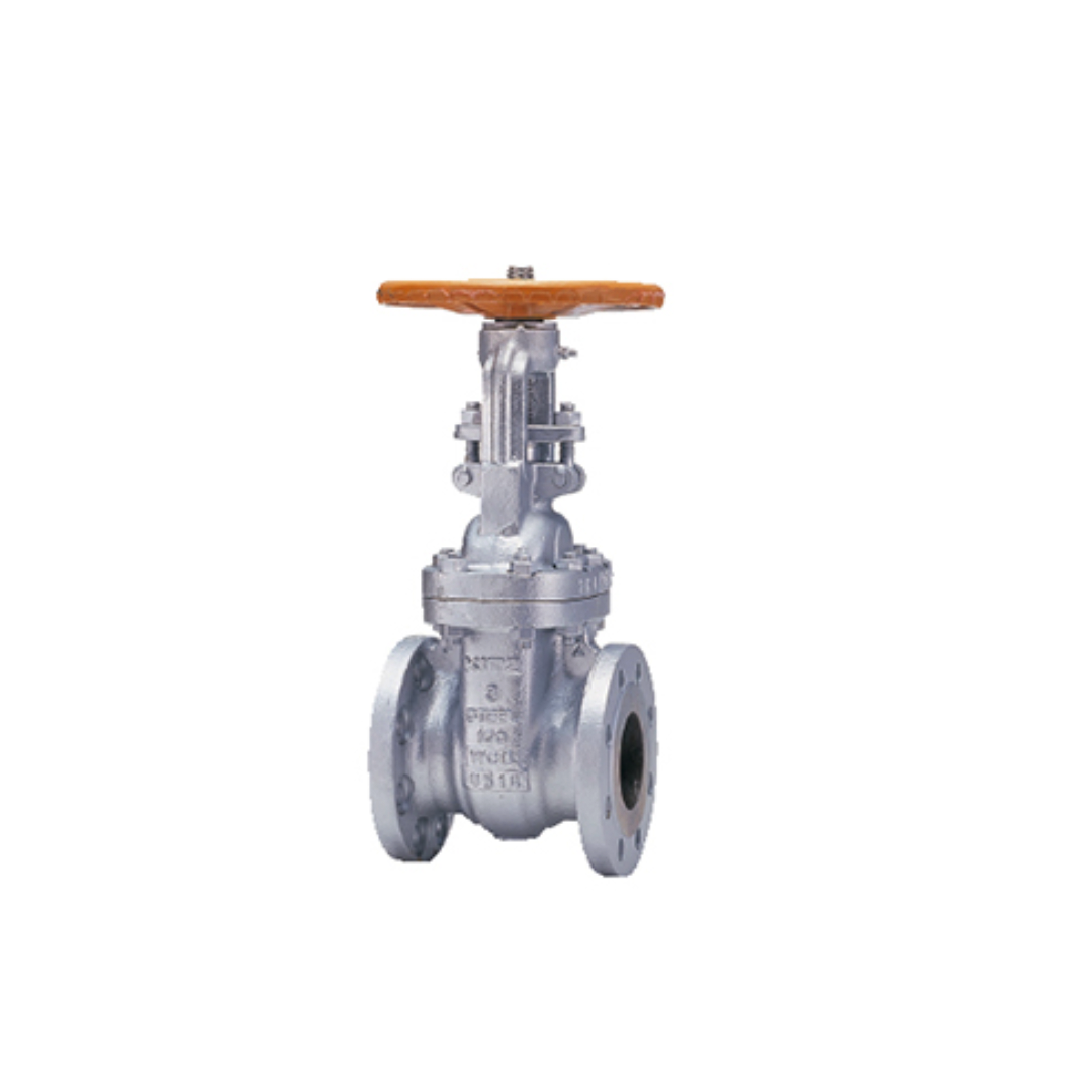 Gate Valve Kitz 150SCLS 10 นิ้ว (250 มม.) เกทวาล์ว Cast Carbon