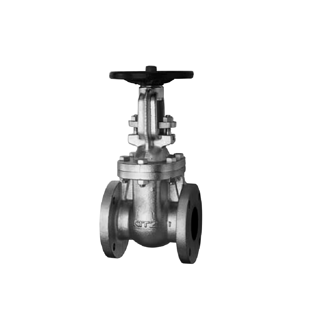 Kitz Gate Valve Cast Iron 5FCM Gate Valve 2 1/2 นิ้ว (65 มม.)