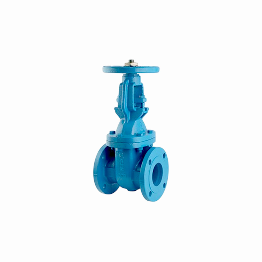 Tozen Iron Gate Valve 300 mm. IGV-D PN16