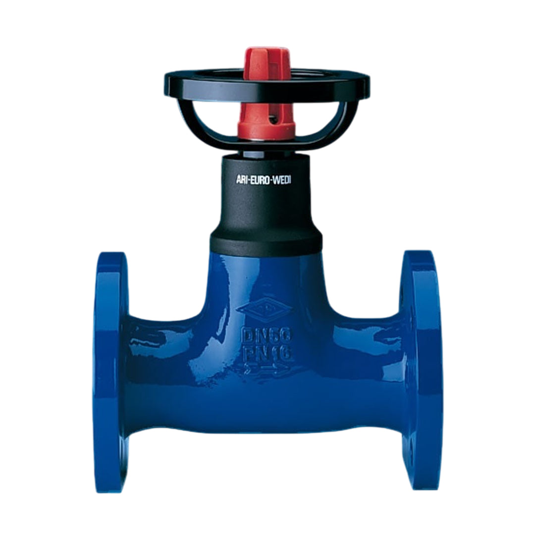 Globe Valve โกลบวาล์ว ARI EURO-WEDI code 10071-PN6-DN150