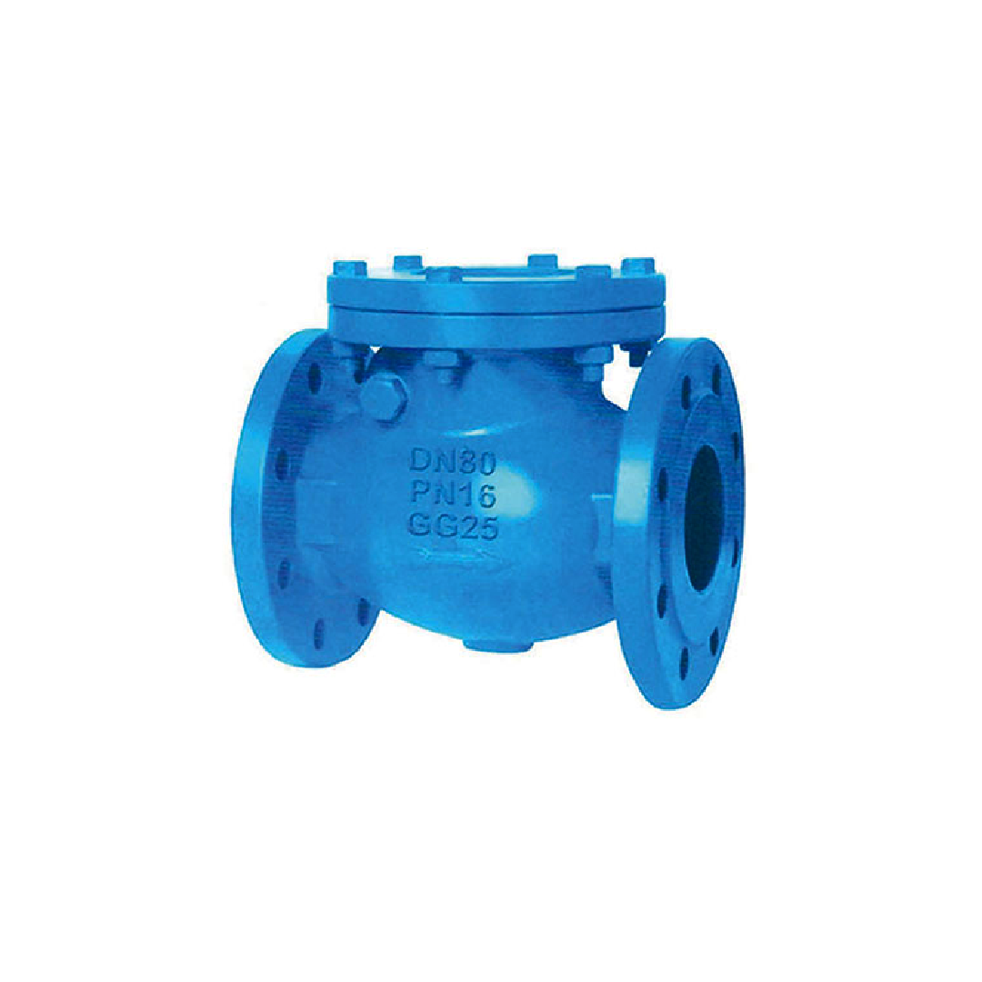 Arita สวิงเช็ควาล์ว ISW-F3 PN16 Swing Check Valve 5 นิ้ว Cast Iron
