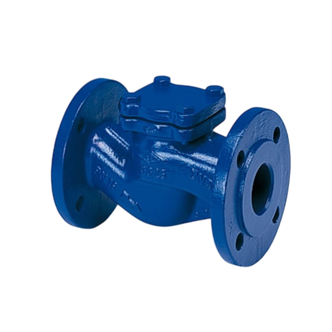 Check Valve เช็ควาล์ว ARI CHECKO V code 23003-PN25-DN 50