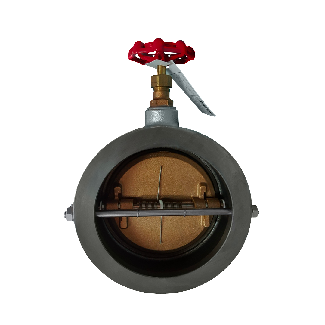 Check Valve KITZ 5 นิ้ว ( 125 มม. ) รุ่น 10FWZ Cast Iron (เช็ควาล์ว KITZ)