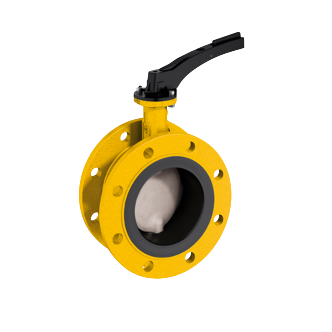 EBRO Butterfly Valve Wafer Type F012-A Gas EN-JS1030 Cast Iron 65 DN 2 1/2 นิ้ว 25 บาร์