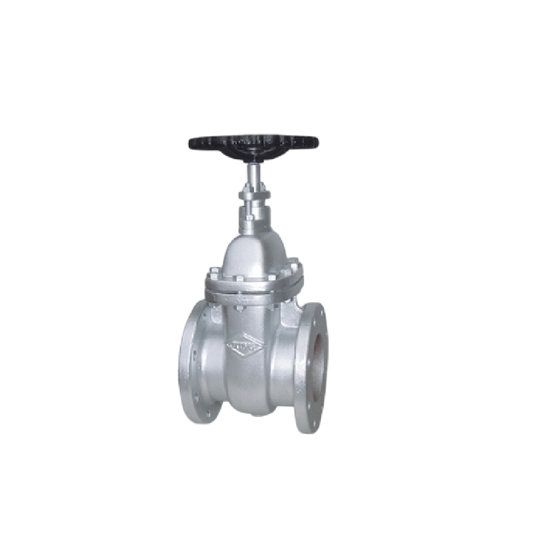 Arita Gate Valve IGA-F1 เกทวาล์ว 5 นิ้ว Cast Iron
