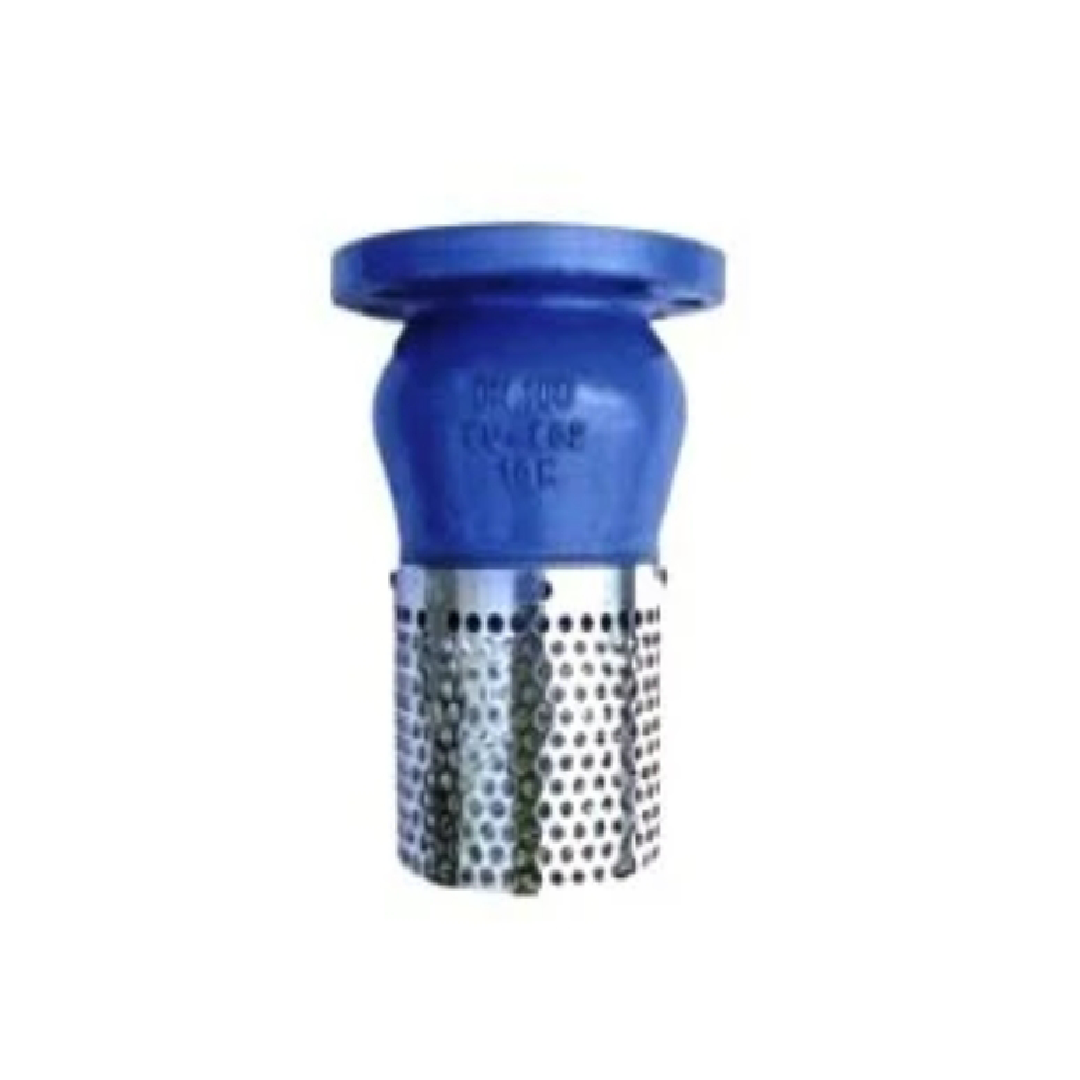 Arita ฟุตวาล์ว FV-J1 Foot Valve 2-1/2 นิ้ว Cast Iron