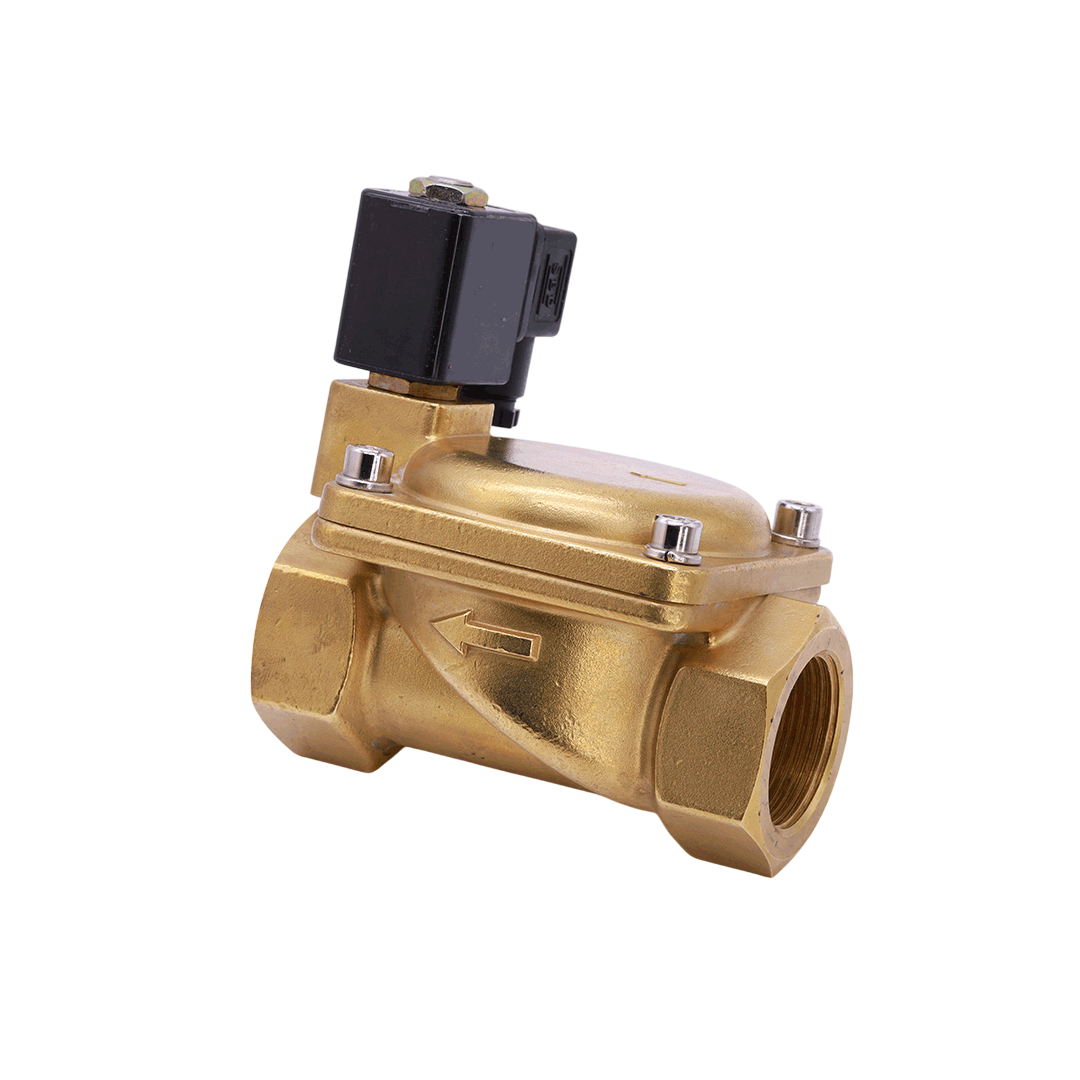 BK โซลินอยด์วาล์ว 2VG Model SB116-2008B ขนาด 1/4 นิ้ว 220VAC