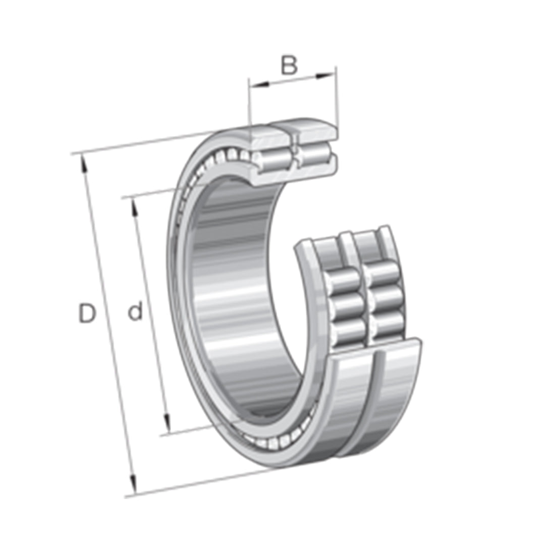 Bearing ตลับลูกปืน INA Cylindrical roller bearing code SL024960