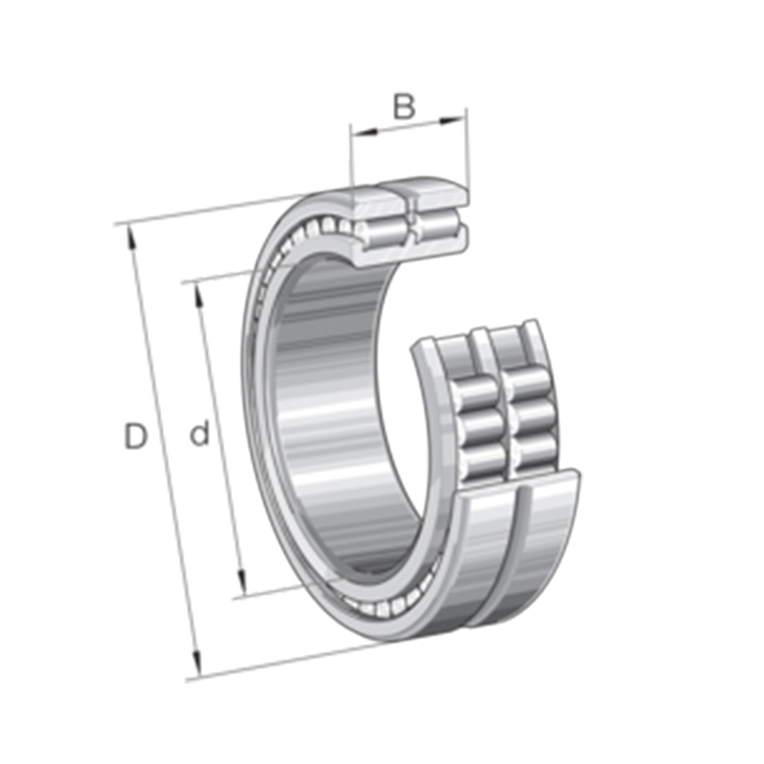 Bearing ตลับลูกปืน INA Cylindrical roller bearing code SL014976-A-C3