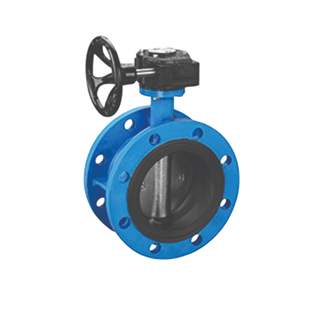 Arita Butterfly Valve IFBF-EDIG-F0 6"