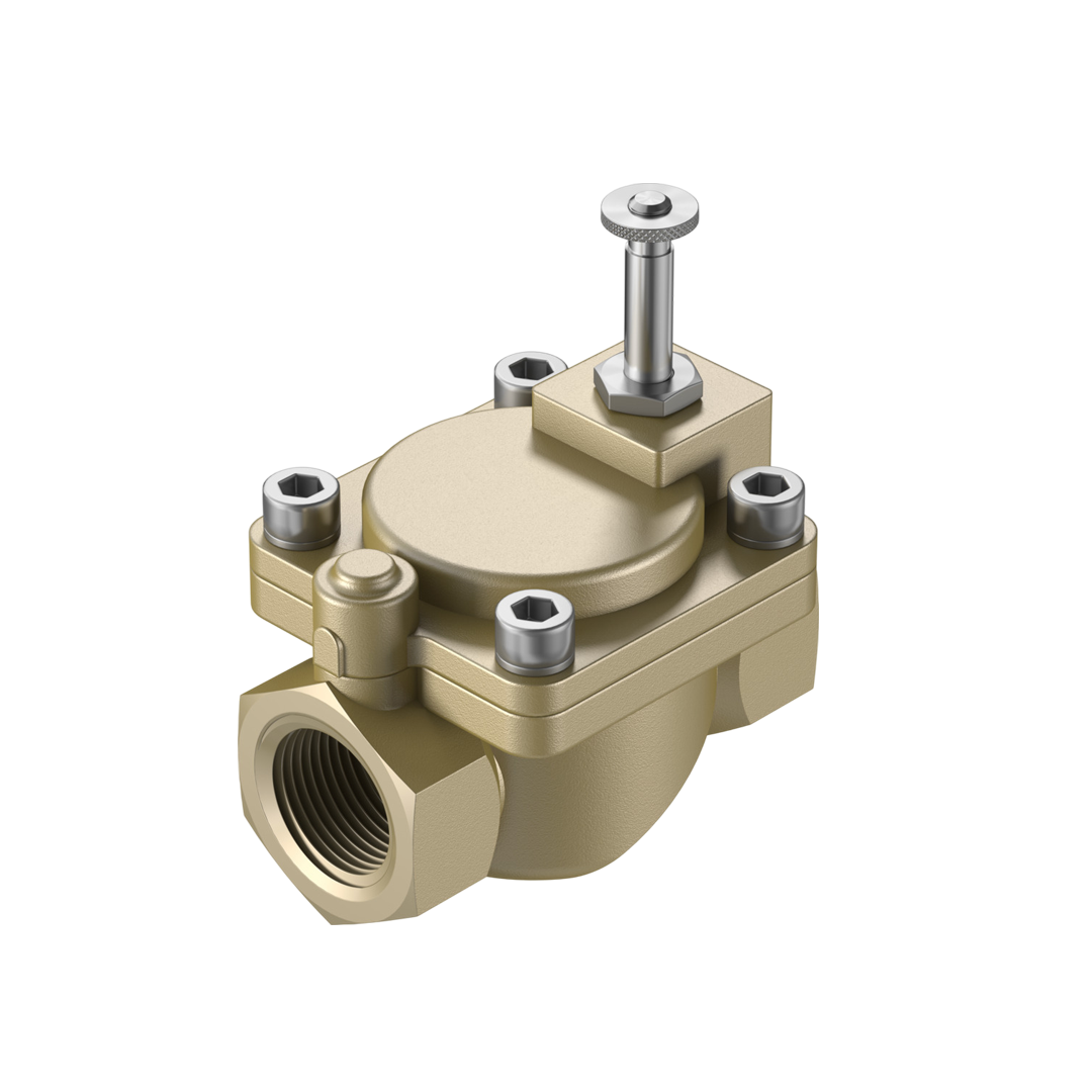 โซลินอยด์วาล์ว FESTO VZWM-L-M22C-G2-F5