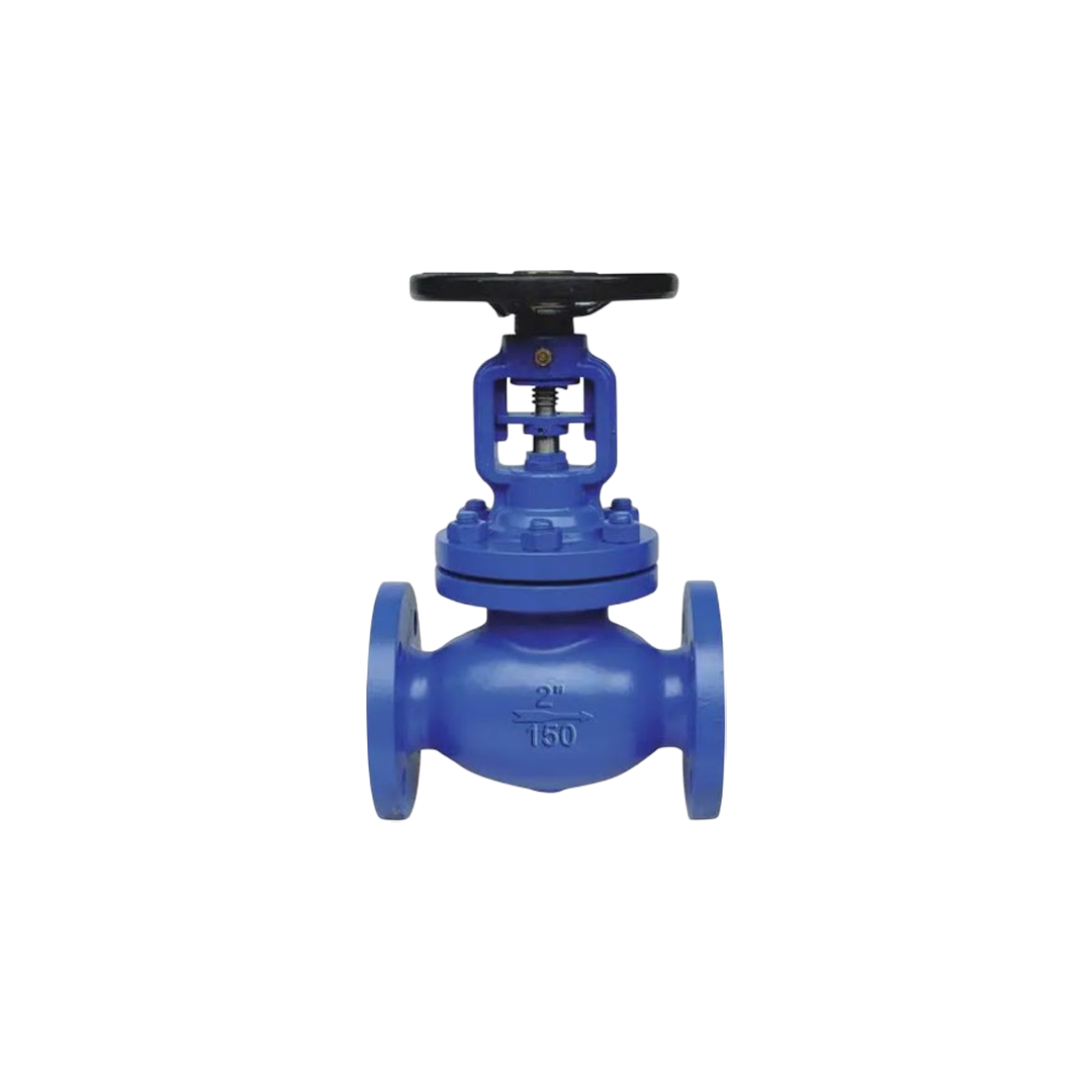 SECA โกลบวาล์ว Globe Valve Cast Iron DN150 6 นิ้ว 206CIA