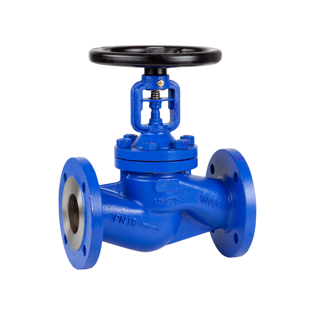 SECA โกลบวาล์ว Globe Valve Cast Iron DN100 4 นิ้ว 206CI10