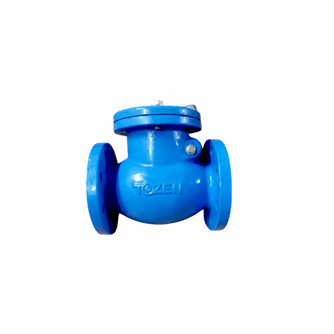Tozen Swing Check Valve 2 1/2 mm. CCV-A CLASS125