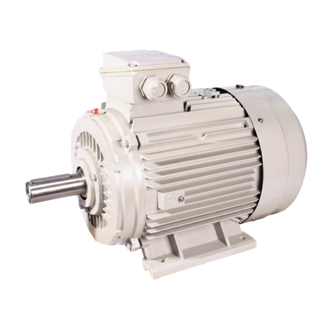 มอเตอร์ HASCON Low Voltage Standard Efficiency Motors foot mount B3  IE1 6 pole-1000 rpm synchronous speed 50Hz HC-112M-6-B3