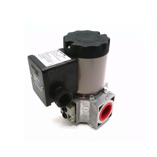 DUNGS Solenoid Valve 217436