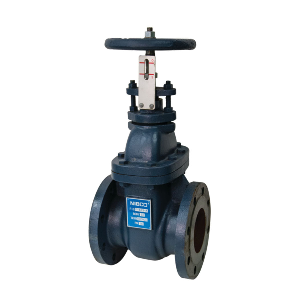 เกทวาล์ว Gate Valve Nibco NP-F620-EP 6นิ้ว PN16  RISING STEM รหัสNPF620KP