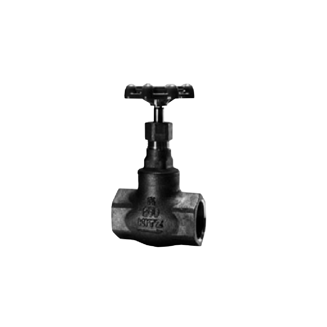 Globe Valve Stainless Kitz โกลบวาล์ว 25 มม. ( 1 1/4 นิ้ว) รุ่น AKUJM