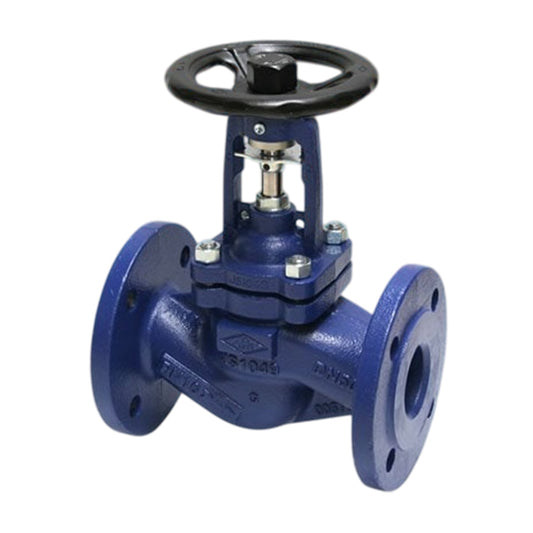 Globe Valve โกลบวาล์ว ARI STOBU code 52006-PN16-DN50