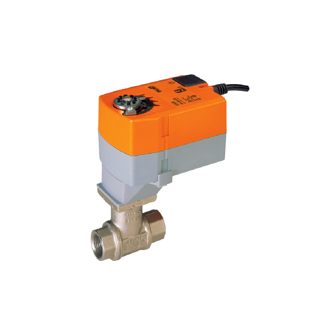 Characterized Control Valves Belimo B217+TFRB24-3
