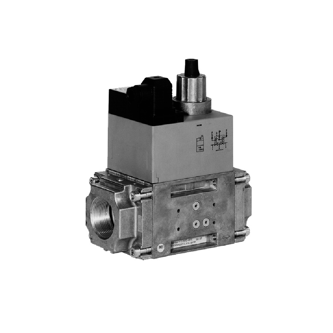 DUNGS Solenoid Valve 224846