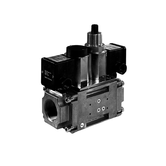 DUNGS Solenoid Valve DMV-D 702/604L