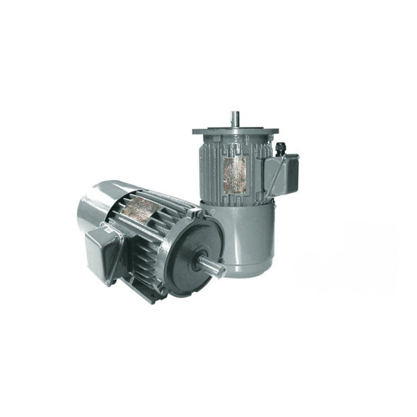 มอเตอร์เบรค Brake Motors FKT code 160L