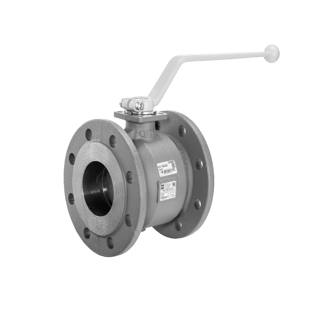 Dungs Ball Valve KH 160065 