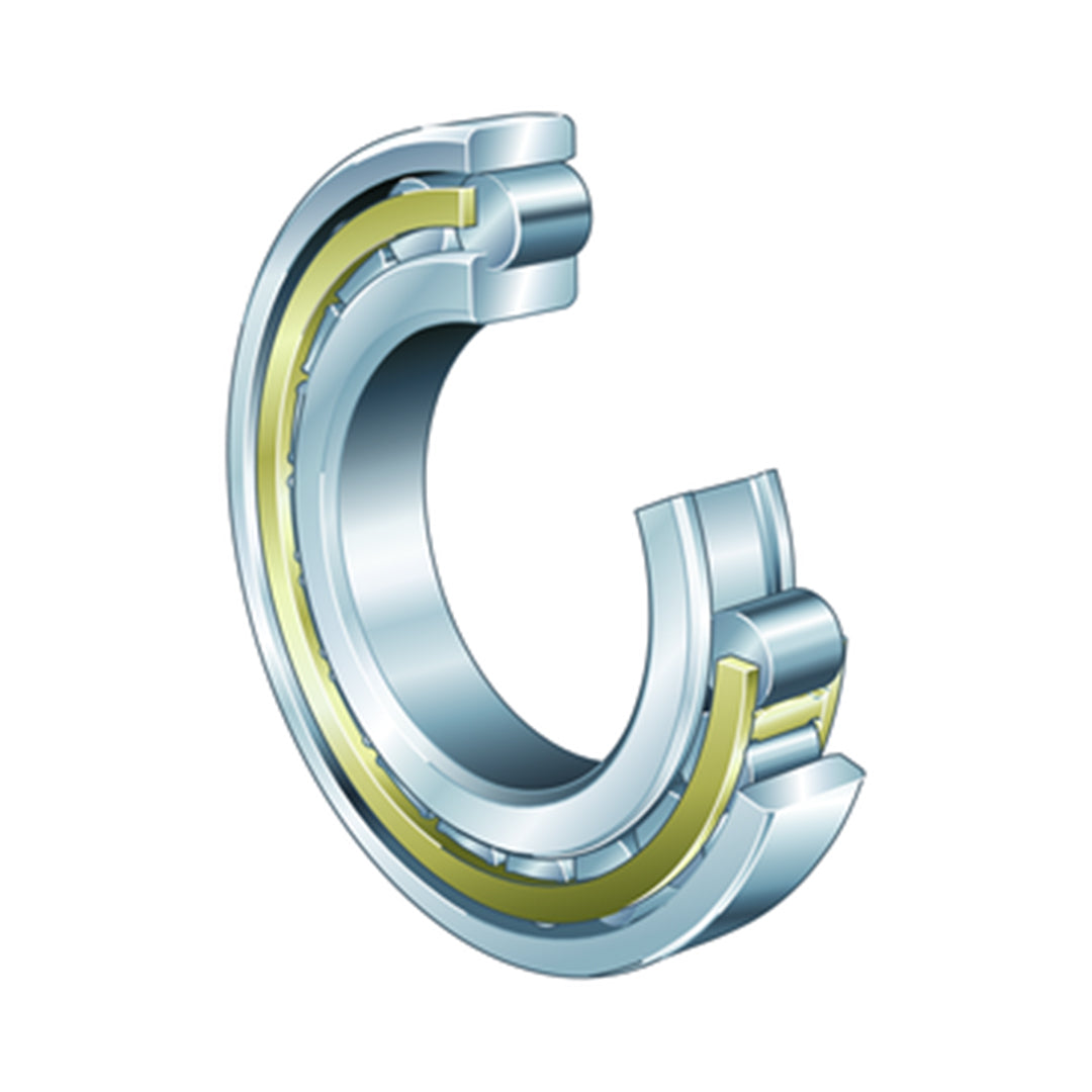 Bearing ตลับลูกปืน INA Cylindrical roller bearing code N1896-M1-C3