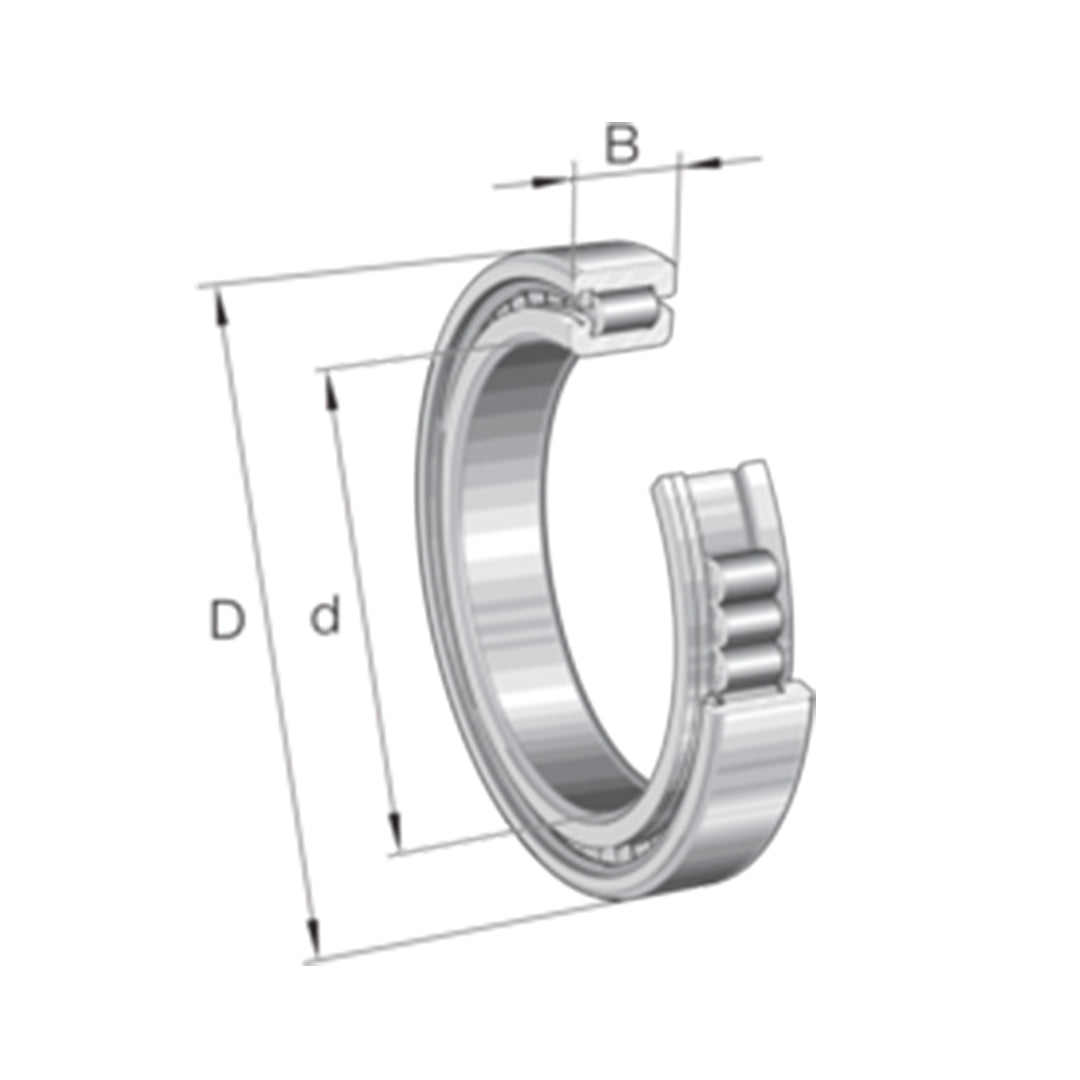 Bearing ตลับลูกปืน INA Cylindrical roller bearing code SL182996-TB-BR-C3