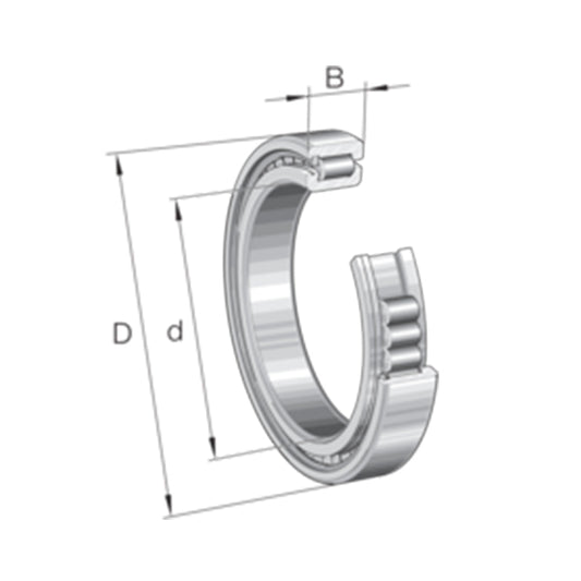 Bearing ตลับลูกปืน INA Cylindrical roller bearing code SL182968-TB