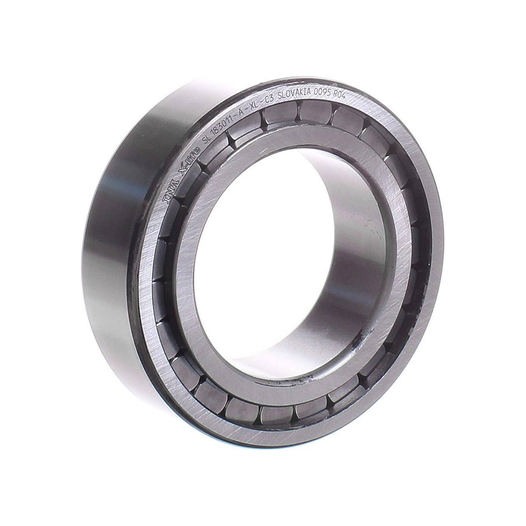 ตลับลูกปืน INA SL185015-A