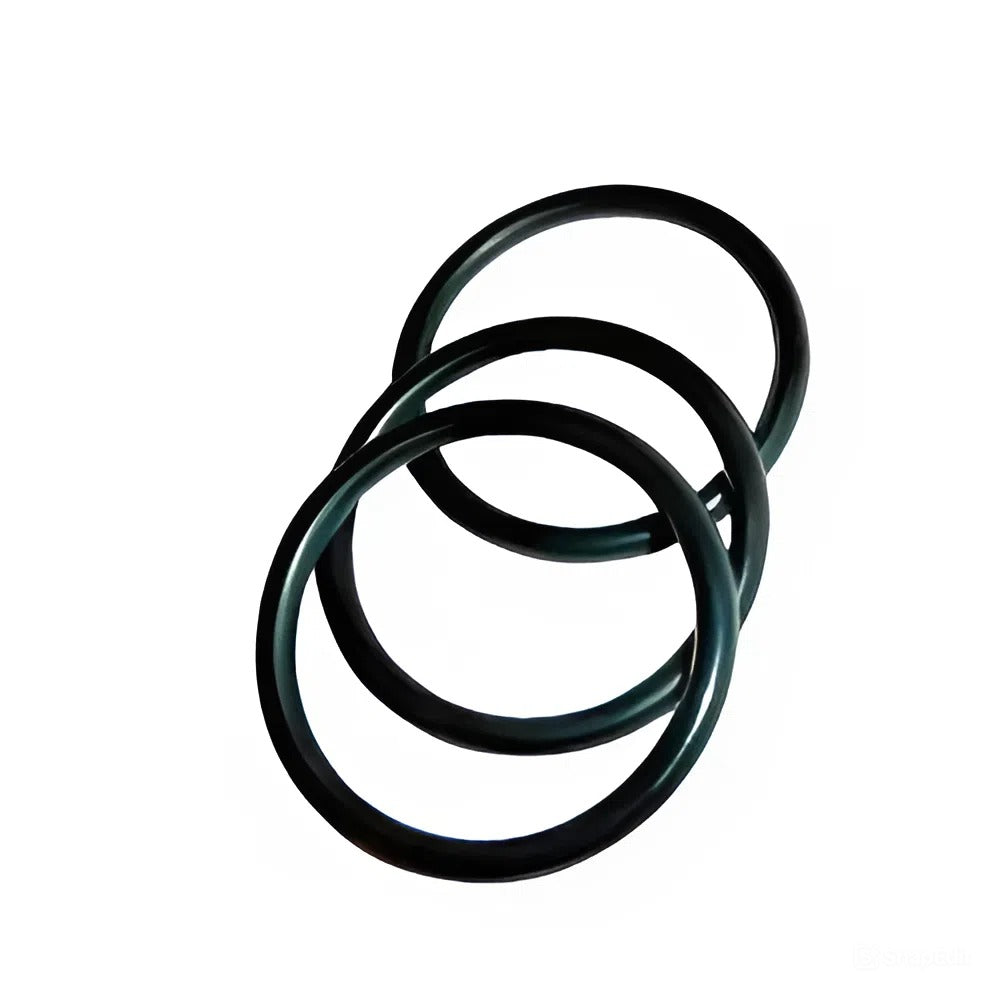 โอริง  O-RINGS NOK code SS 10