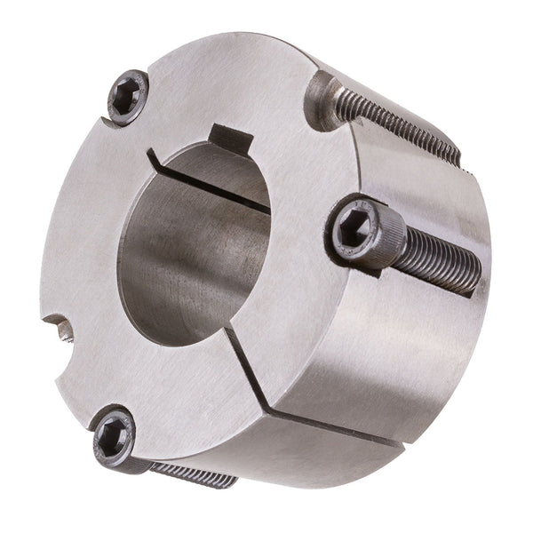 เตเปอร์บูช (Taper bush)