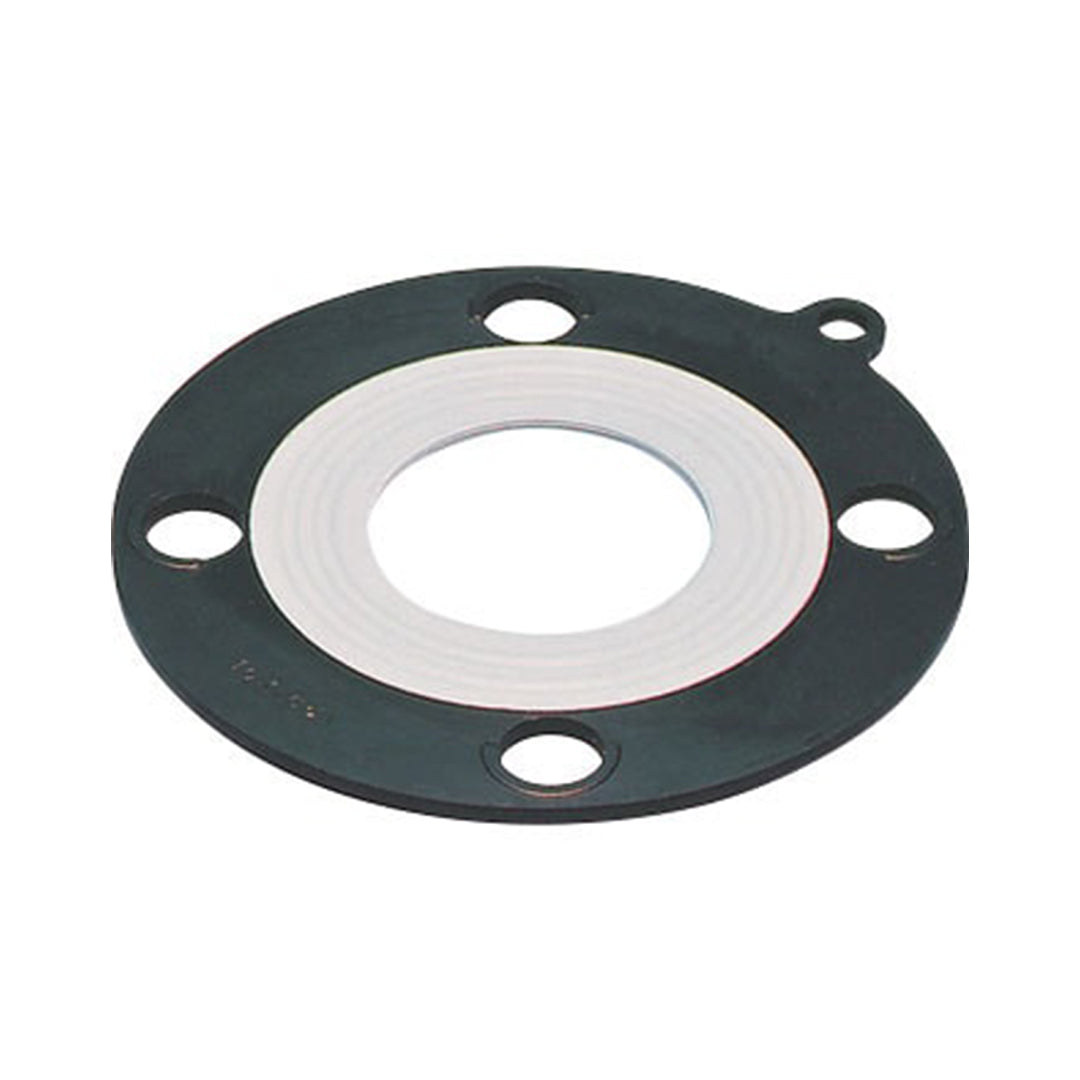 ปะเก็นทนสารเคมี Tombo Gasket 9013 EBILON GASKET 150LB x 8B JIS10K x 200A