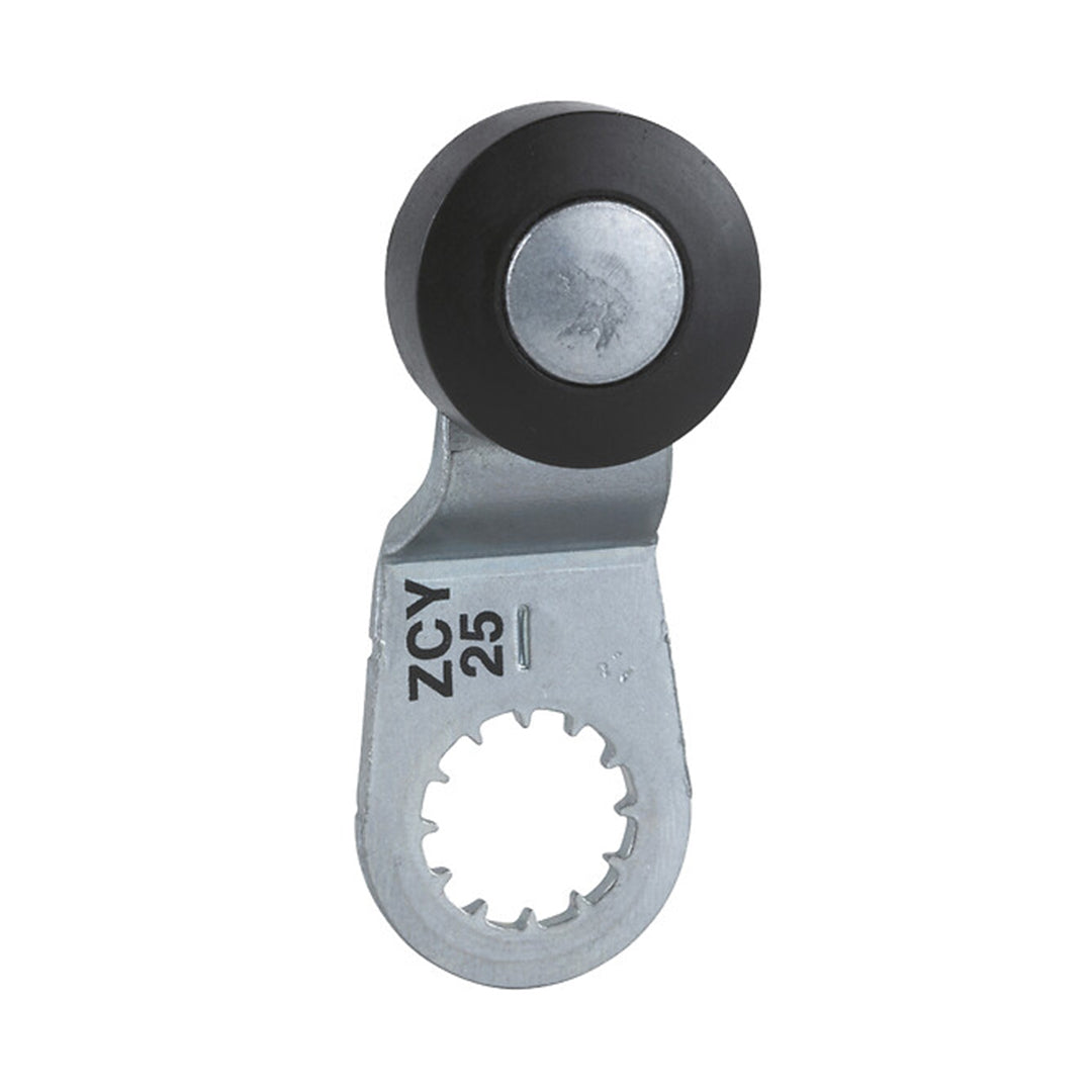 Limit Switch Telemecanique Sensors ลิมิต สวิตช์ code ZCY19