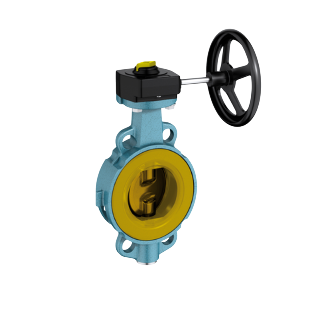 EBRO Butterfly Valve Wafer Type Z011-GMX G-AlSi10Mg Aluminiumalloy 250 DN 10 นิ้ว 6 บาร์