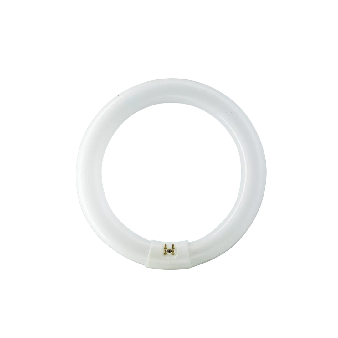 หลอดไฟ PHILIPS ชนิด หลอดฟลูออเรสเซนต์ Circular G10q 32 วัตต์ รหัส 928026305436