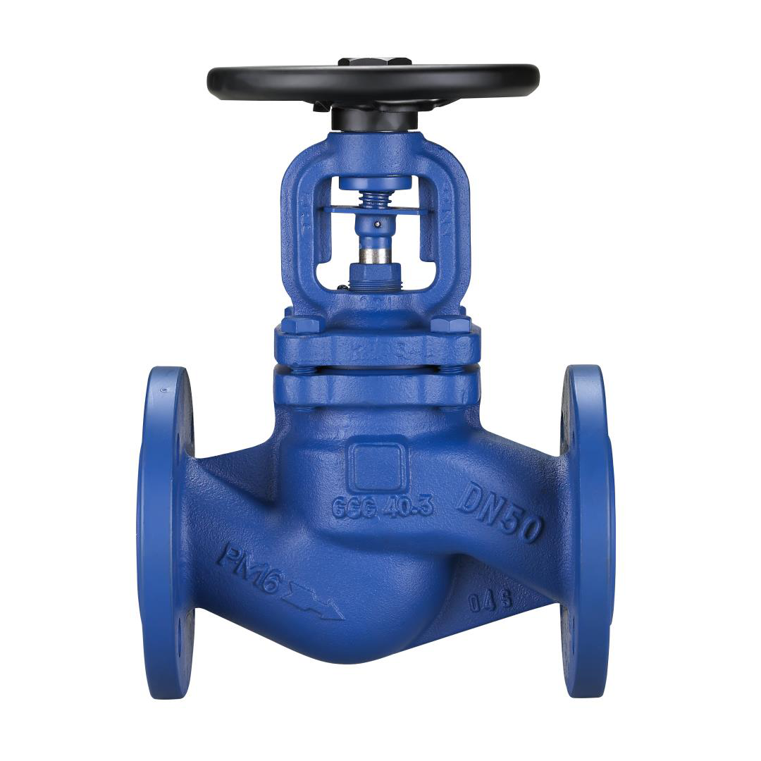 Globe Valve Arita Bellow Seal ,BLS1 โกลบวาล์วสตรีม 10 นิ้ว