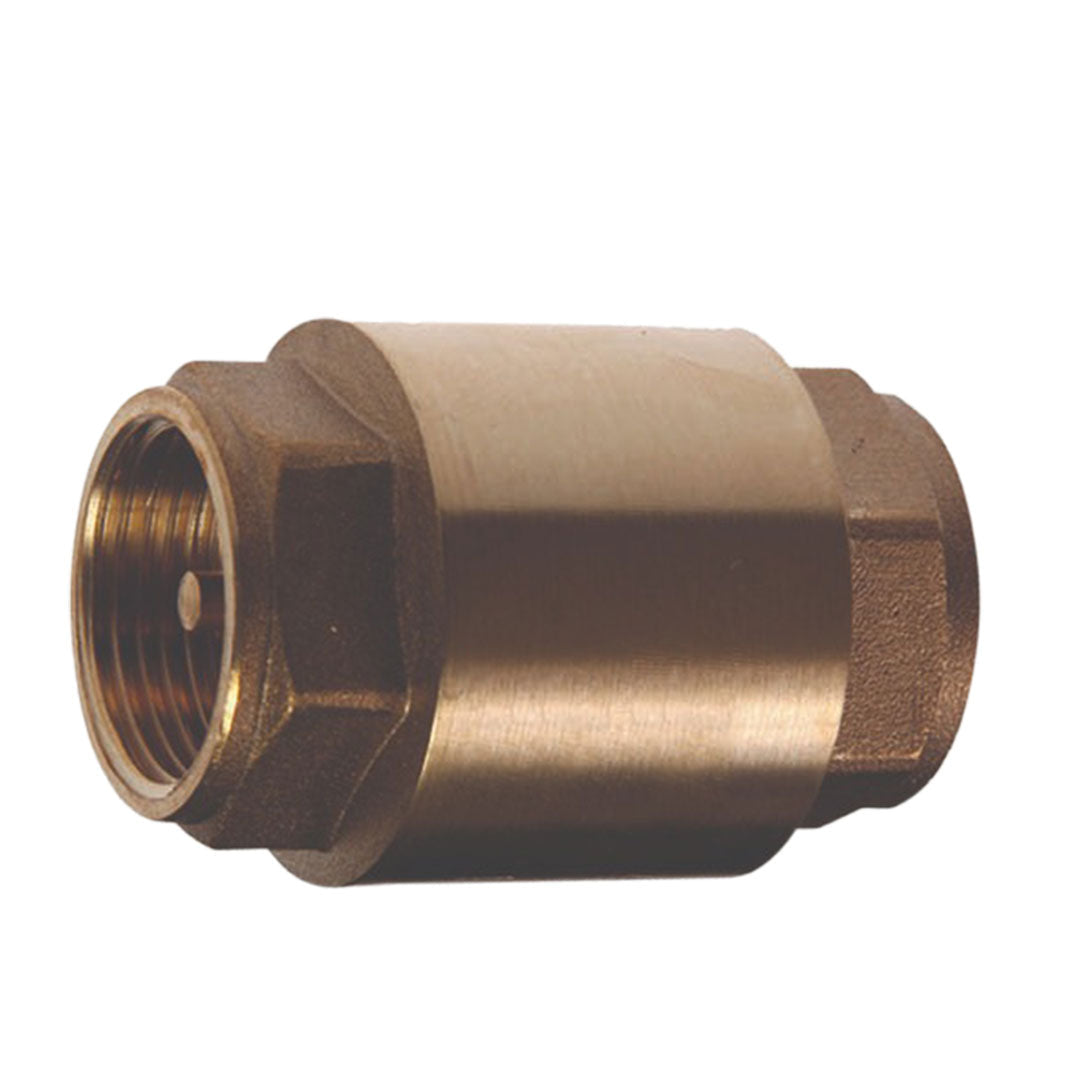 ARITA SPRING CHECK VALVE BSP-S200 1 1/2"