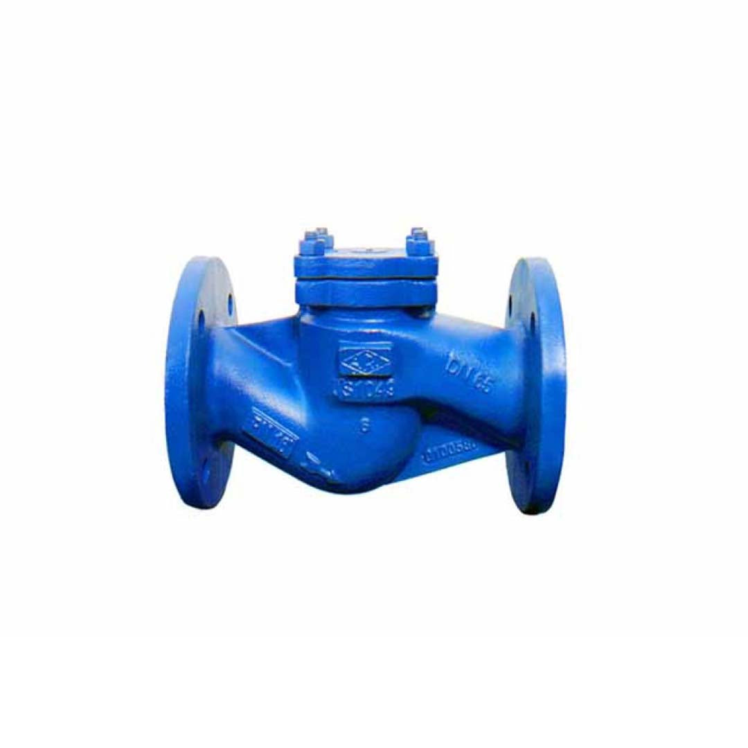 เช็ควาล์ว10นิ้ว ARI CHECK VALVE PN16 DN250