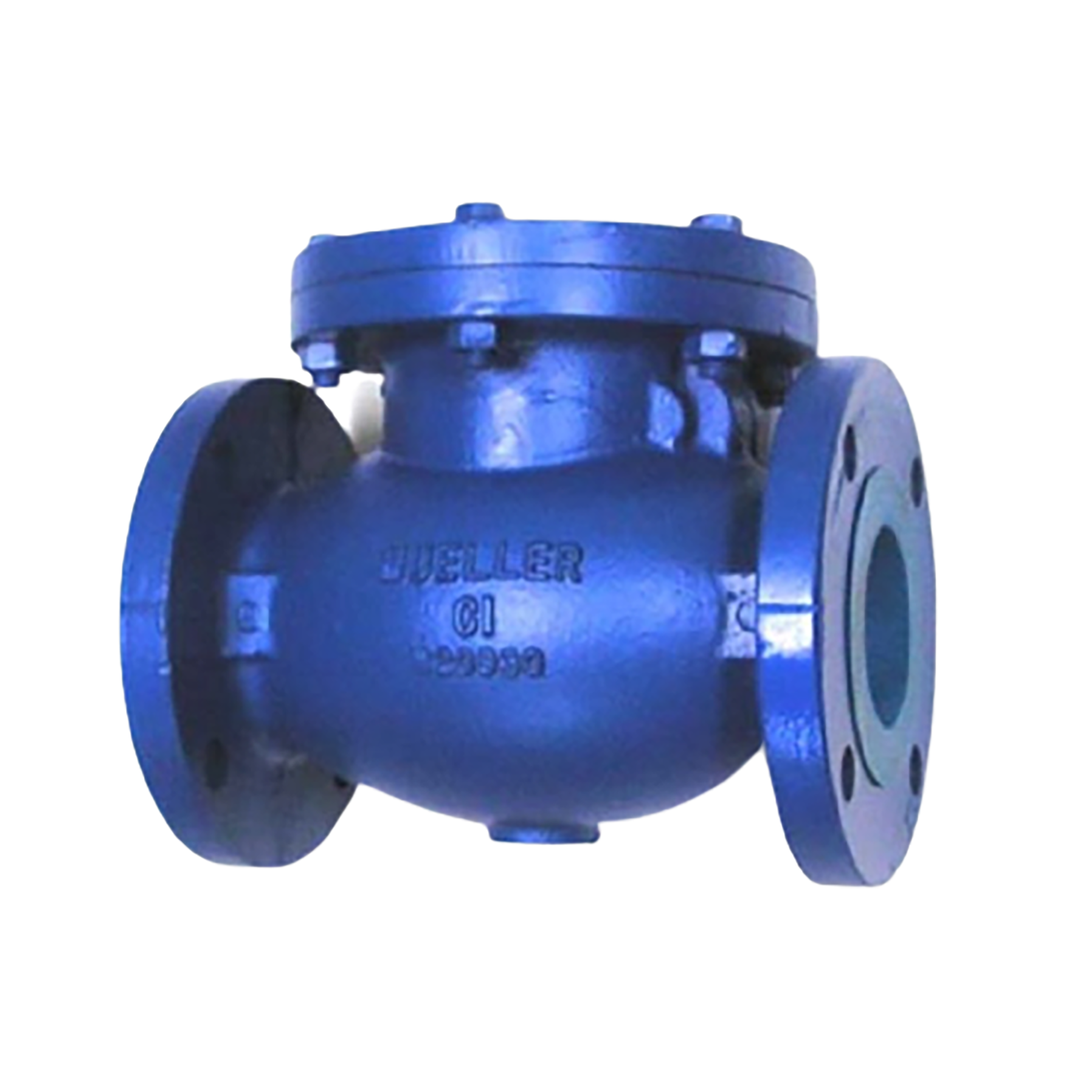 เช็ควาล์ว 2 นิ้ว Mueller Check Valve Model BSW-125-F