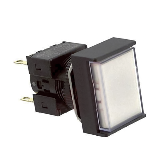 Omron Illuminated Push Button Switch A165L-JWM-24D-2