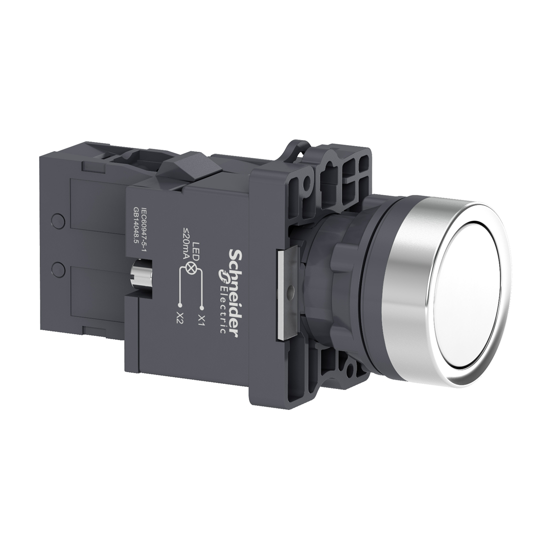 Push button switch Schneider XA2 (สวิทช์ปุ่มกดมีไพลอตแลมป์ หัวเรียบ - กดเด้งกลับ) 220V (50/60Hz)