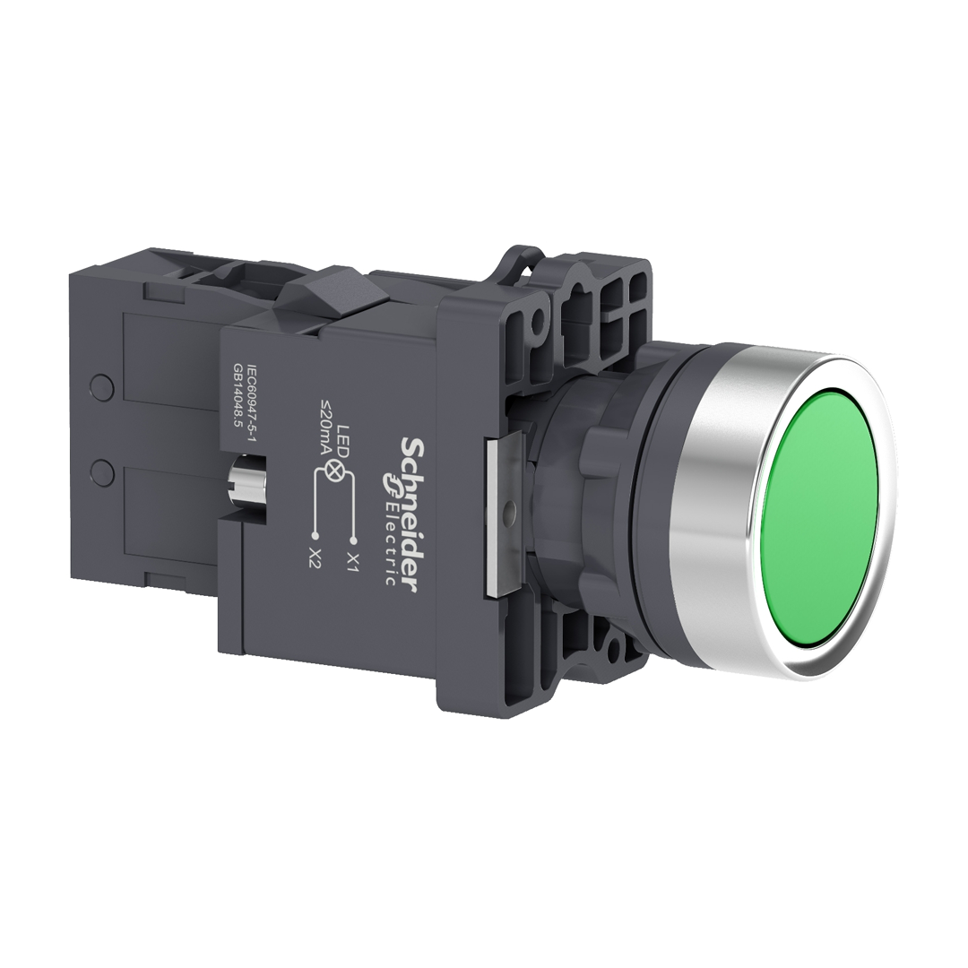 Push button switch Schneider XA2 (สวิทช์ปุ่มกดมีไพลอตแลมป์ หัวเรียบ - กดเด้งกลับ) 220V (50/60Hz)