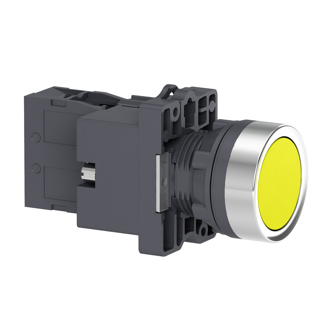 Push button switch Schneider XA2 (สวิทช์ปุ่มกดมีไพลอตแลมป์ หัวเรียบ - กดเด้งกลับ) 24V (50/60Hz)