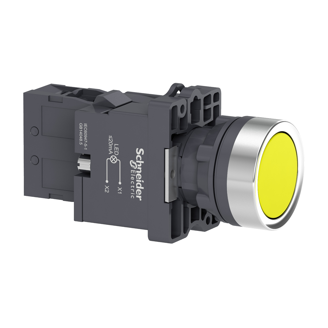 Push button switch Schneider XA2 (สวิทช์ปุ่มกดมีไพลอตแลมป์ หัวเรียบ - กดเด้งกลับ) 220V (50/60Hz)