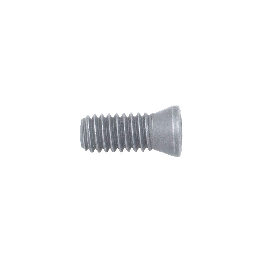 DS3.0 x 8.2 (T9) INSERT SCREW